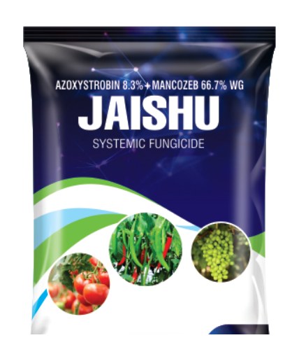 Jaishu
