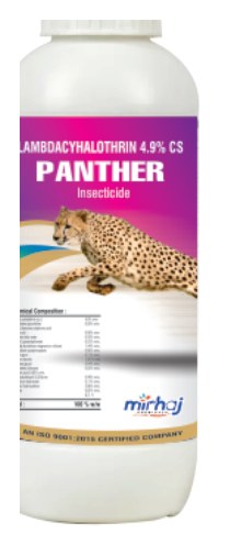Panther
